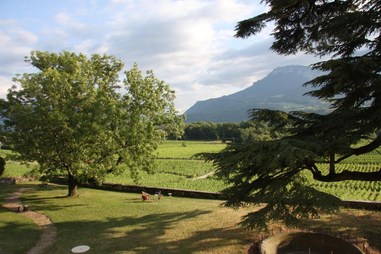 Château La Violette Les Marches Esterno foto